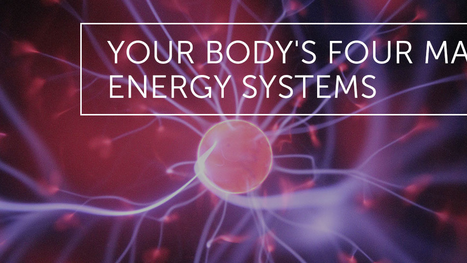 Your Body S Four Main Energy Systems Dr Alex