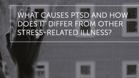 What Causes PTSD and How Does It Differ From Other Stress-Related Illness