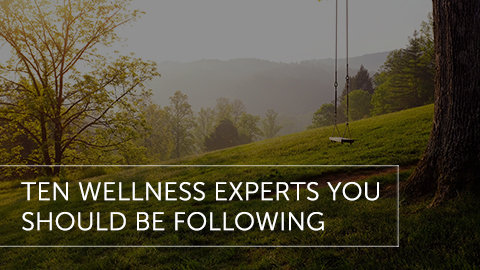 Ten Wellness Experts You Should Be Following