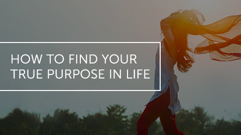 How to Find Your True Purpose in Life