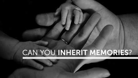 Can You Inherit Memories?