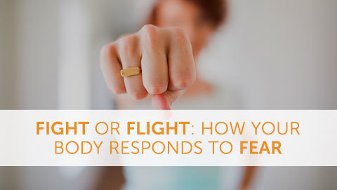 Fight or Flight: How Your Body Responds to Fear