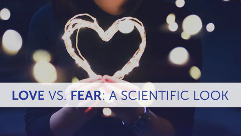 Love Vs. Fear: A Scientific Look