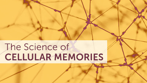 The Science of Cellular Memories