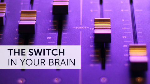 The Switch in Your Brain