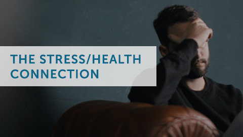 The Stress/Health Connection