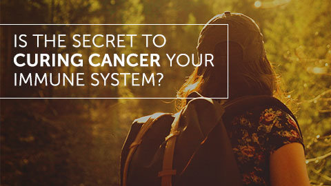 Is Your Immune System the Secret to Curing Cancer?