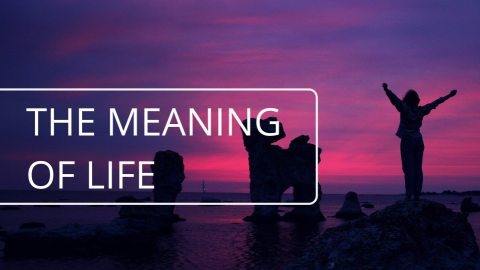 The Meaning of Life