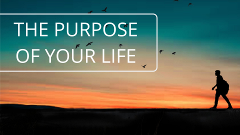 What is the purpose of your life?