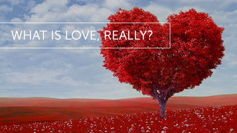 What is Love, Really?