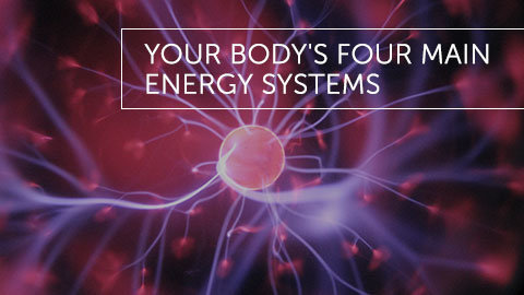 Your Body's Four Main Energy Systems